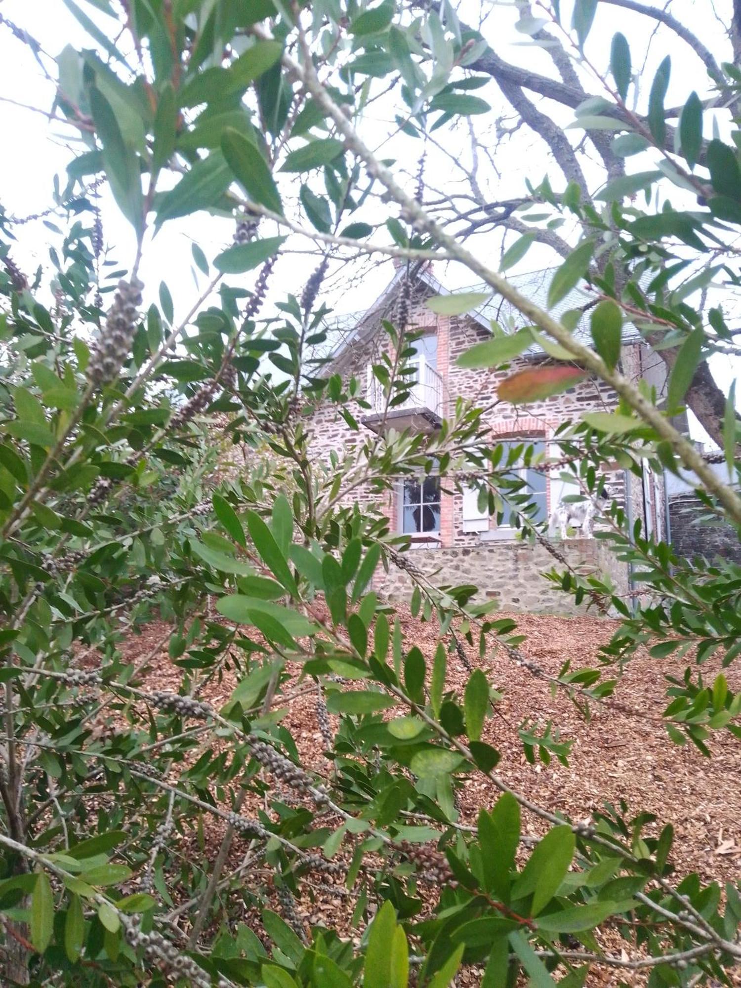 Domaine Le Gaudin - Saint Jean Le Thomas Saint-Jean-le-Thomas Quarto foto